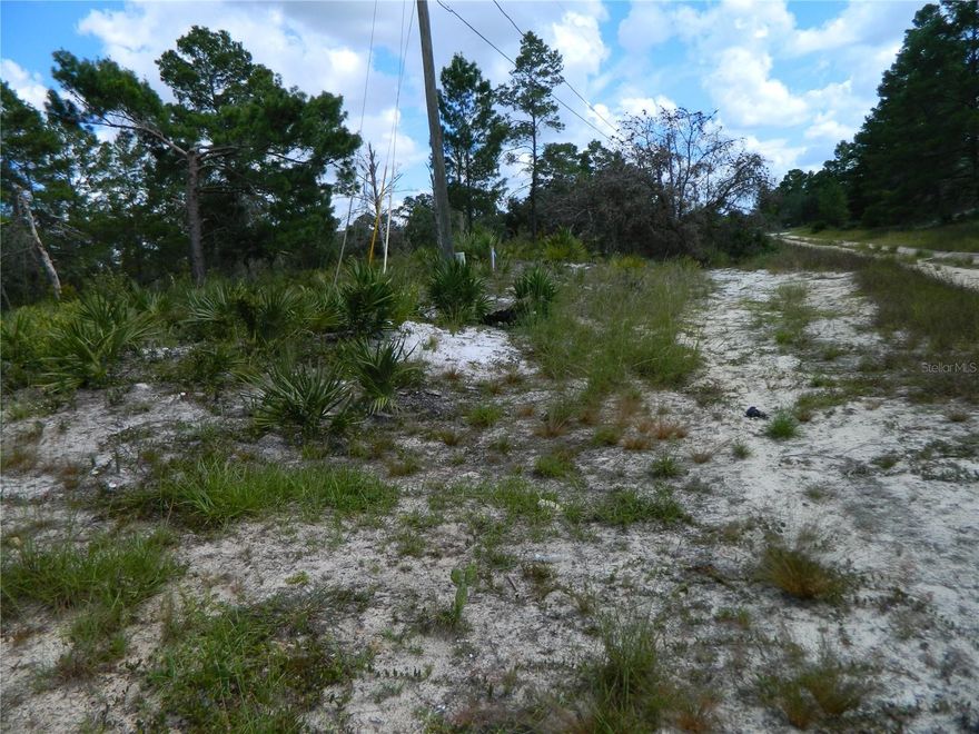 Nice lot located in Avon Park  that is close to everything in a great neighborhood with NO HOA, NO CDD and Flood Zone X! , buildable lot if you want to live in a great area this is your piece of mind
