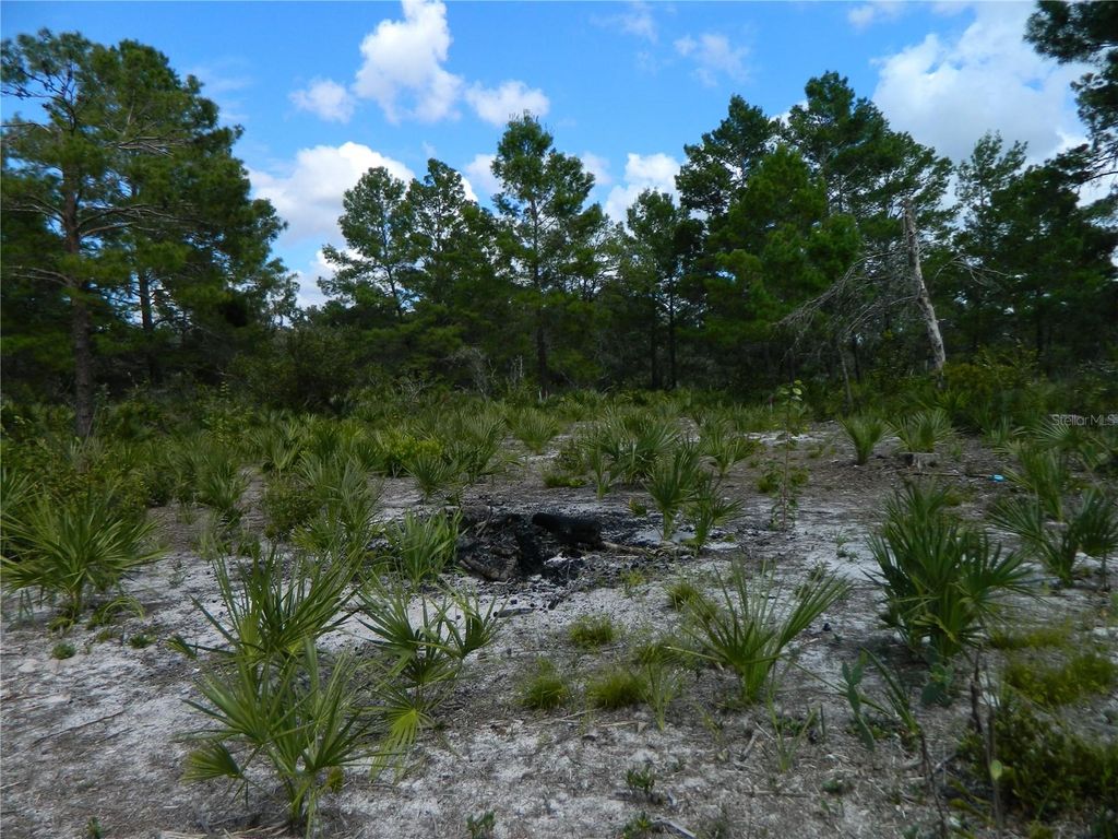 Photo of 2220 N Altair Road, Avon Park, FL 33825 (MLS # TB8432991)