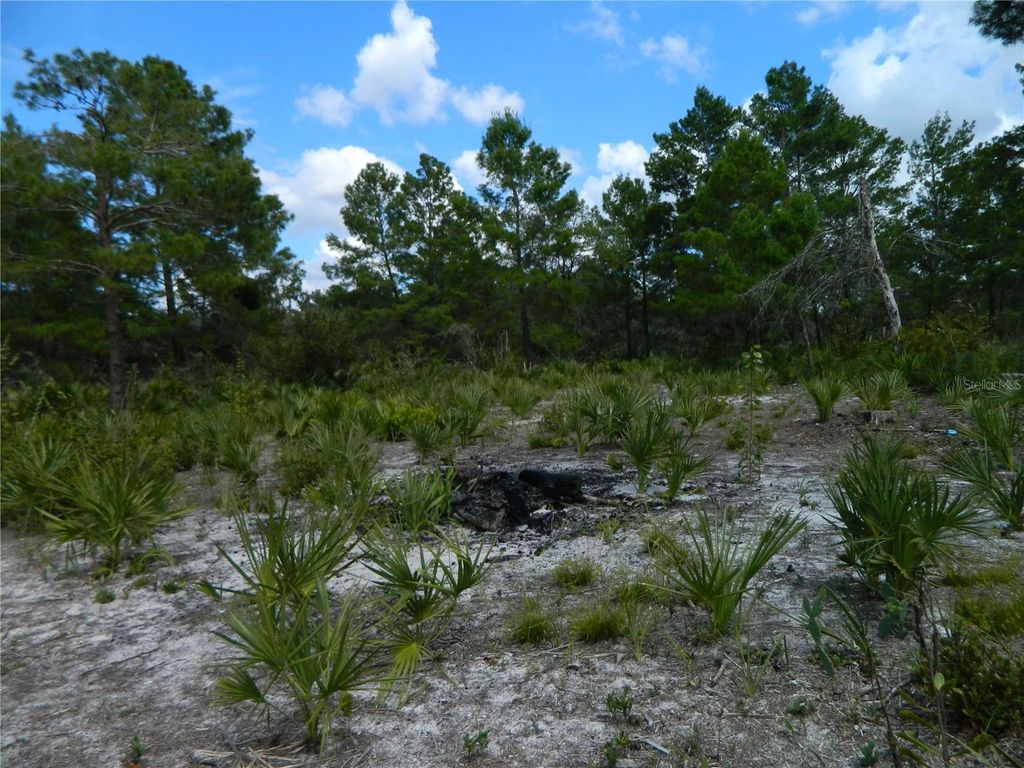 Photo of 2220 N Altair Road, Avon Park, FL 33825 (MLS # TB8432991)