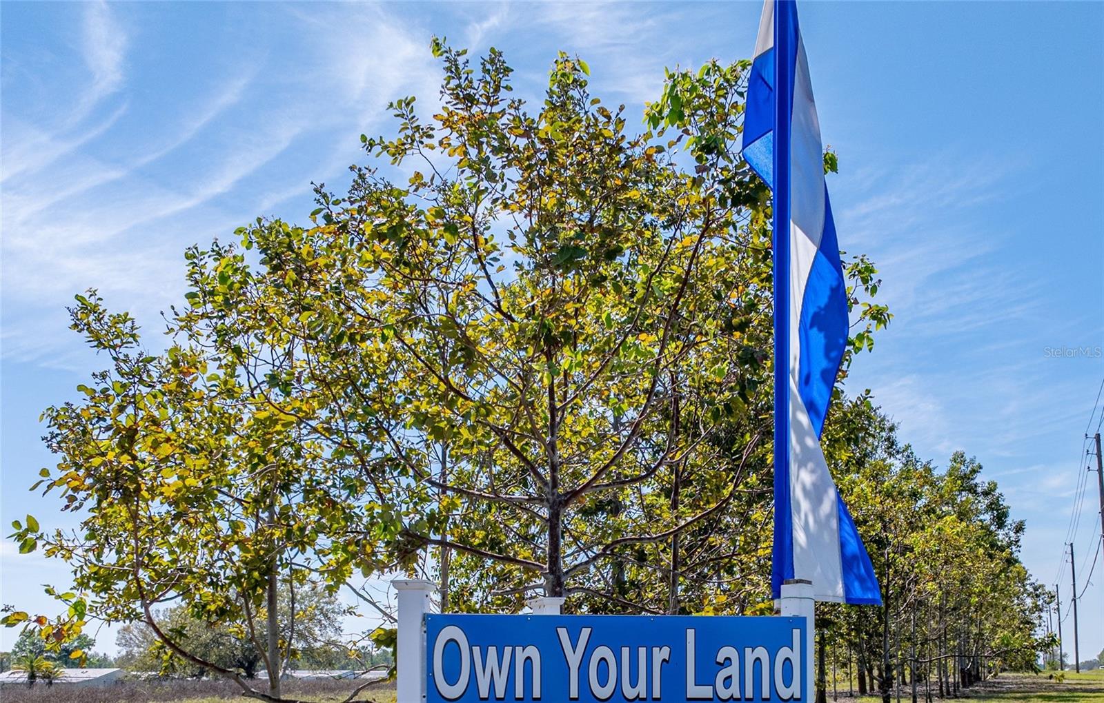 102 NEWCASTLE BOULEVARD