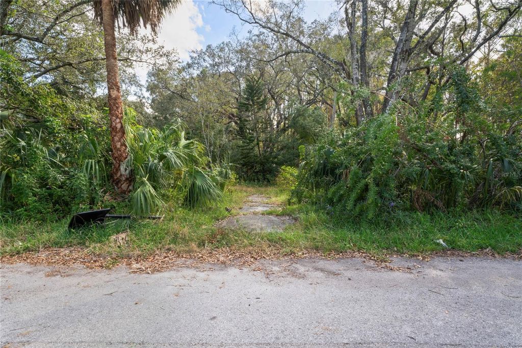 Photo of 9150 Kiowa Dr, New Port Richey, FL 34654 (MLS # W7869597)