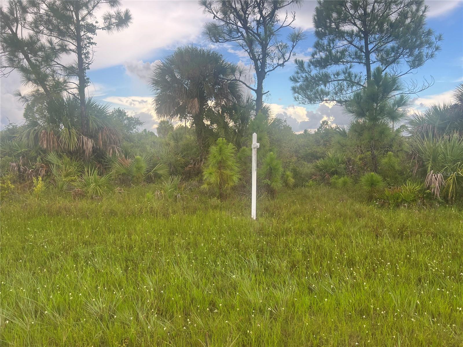 Looking for that perfect piece of land to build your slice of paradise on? Here's a great lot in this up-and-coming area of Port Charlotte! Bring all your toys...store your RV, boat, kayaks, put up a detached garage, shed for an art studio, trampoline, or treehouse, doesn't matter as this is a non-deed restricted area of Charlotte County! And of course, what could be more Florida than having your own pool which the property has plenty of room for! Great neighborhood with its own BOAT RAMP with access for a low, $65 annual POA fee, more info at GulfCove.org. Property is close to all amenities including sandy beaches & crystal waters of Englewood & Boca Grande Beaches, Golf Courses, boat launches, minutes from the Spring training Rays Stadium that hosts 31 games against the Yankees, Red Sox, Braves, Mets & more. Great builders with plenty of floor plans that can build your dream house, just ask for details.
