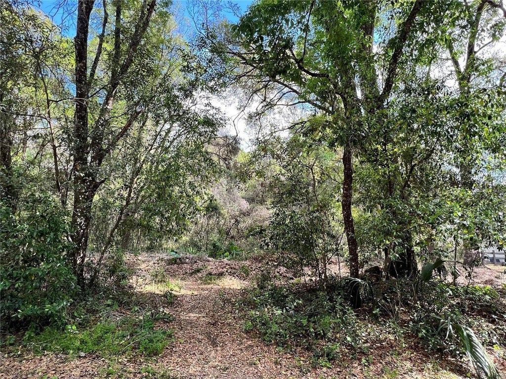 Photo of 0 Garfield Avenue, Brooksville, FL 34604 (MLS # TB8522829)