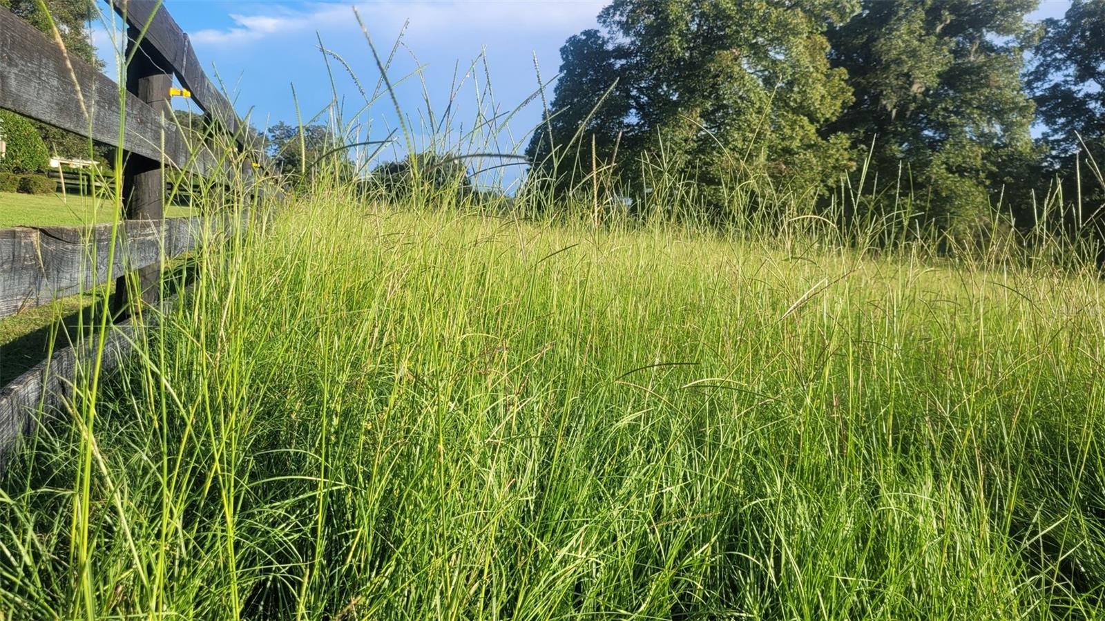 EQUINE ESTATE - Residential