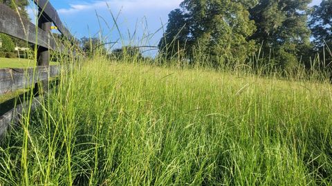 Tiny photo for 1198 SW 104th Street Road, Ocala, FL 34476 (MLS # OM709610)