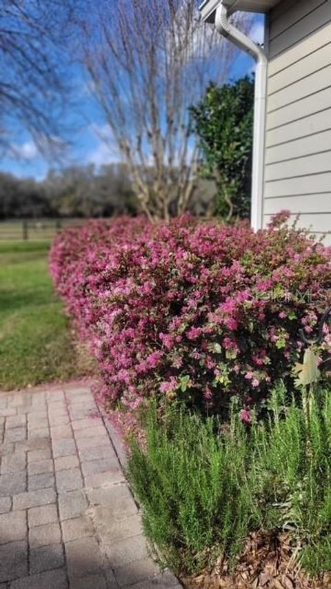 Tiny photo for 1198 SW 104th Street Road, Ocala, FL 34476 (MLS # OM709610)