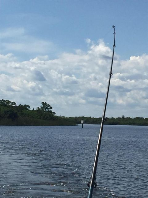 A home in PUNTA GORDA