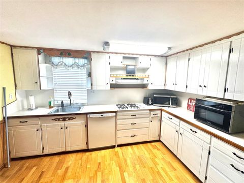 Tiny photo for 14551 NE 210th Court Road, Fort Mccoy, FL 32134 (MLS # OM715860)