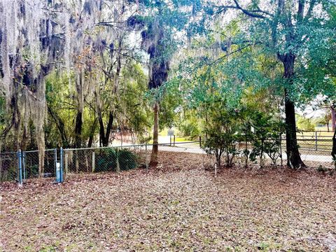 Tiny photo for 14551 NE 210th Court Road, Fort Mccoy, FL 32134 (MLS # OM715860)