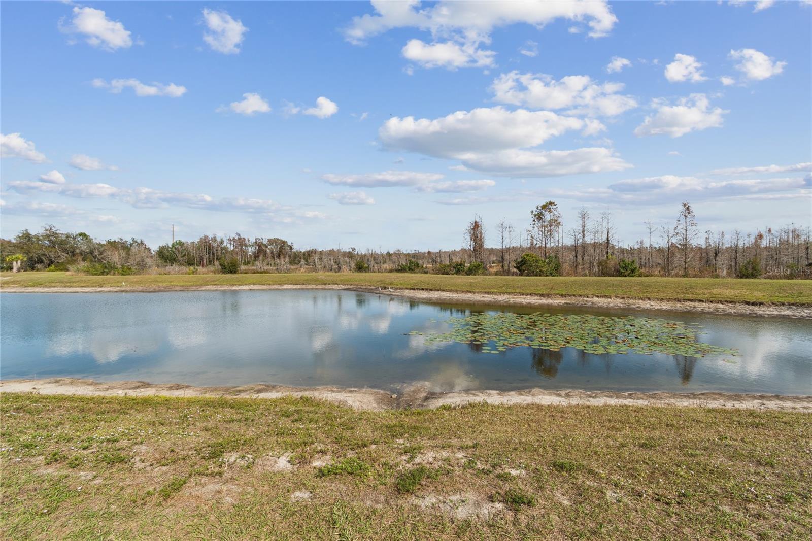 PARKVIEW/LONG LAKE RANCH PH 2B - Residential