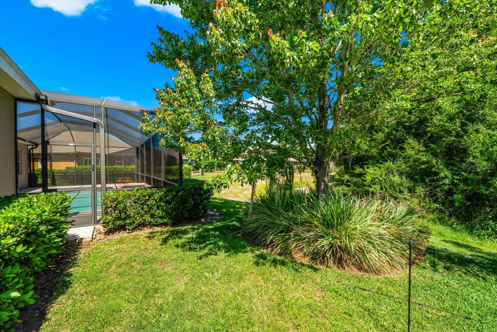 LAKESHORE RANCH PH 1 - Residential