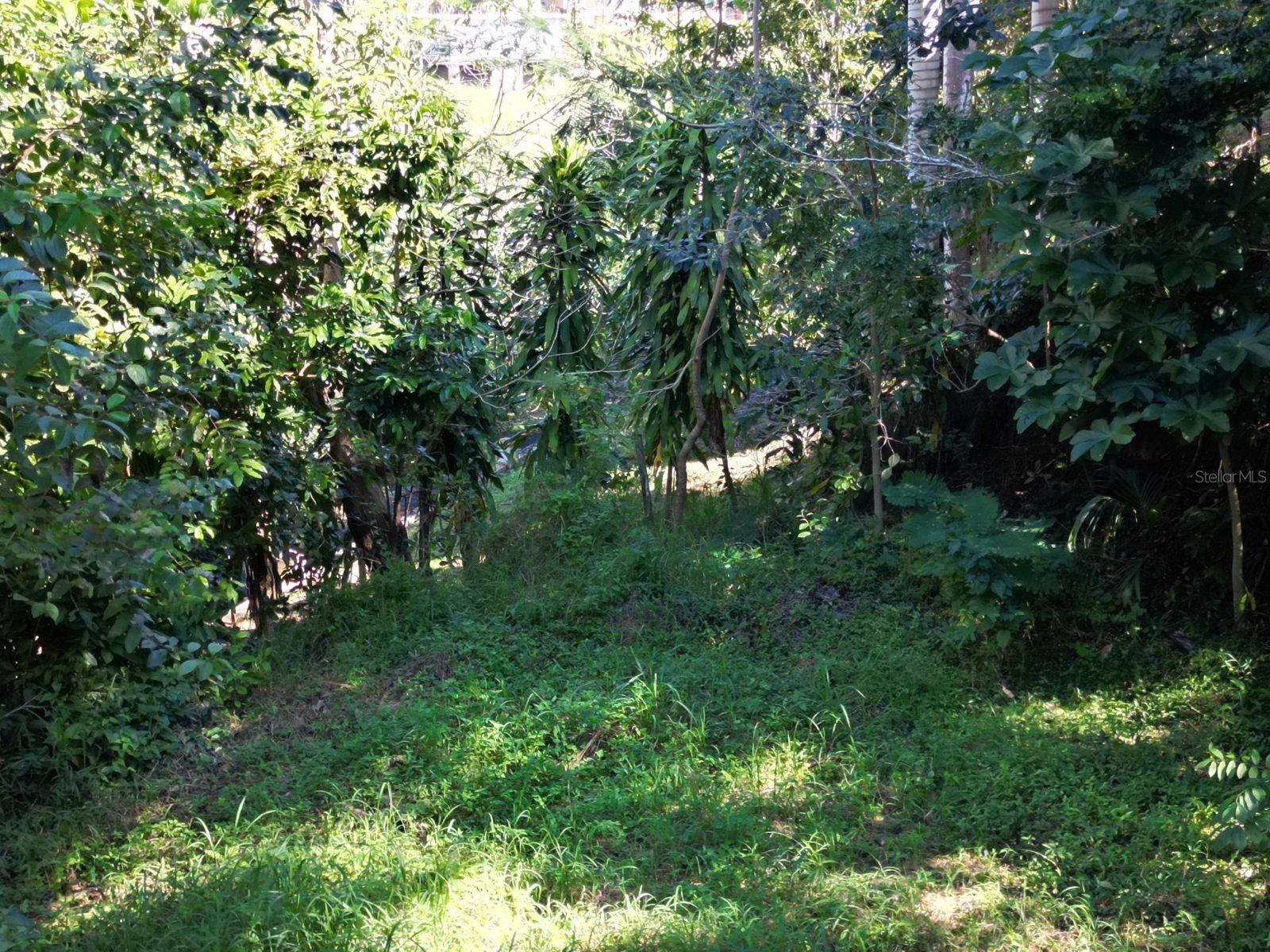 RIO GRANDE - Residential