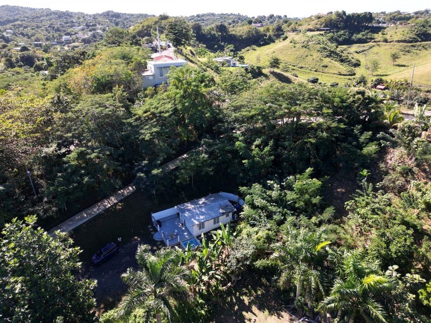 Tucked away at the end of a quiet dead-end street, this charming 2-bedroom, 1-bath home sits on a spacious 2,284-square-meter lot surrounded by lush tropical landscaping, fruit trees and palm trees, offering privacy and a peaceful island lifestyle. Located in Bo. Río Grande, Rincón, it is just minutes from beautiful beaches, popular restaurants, and the vibrant town center—perfectly balancing tranquility and convenience. The home is connected to the electrical grid and fully wired with a panel ready for generator or solar integration. Water security includes two 525-gallon cisterns with filtration, rainwater collection, and town water connection. A rooftop solar system provides hot water. Enjoy a newly built plunge pool and ample land with potential to add more casitas or a the house of your dreams.