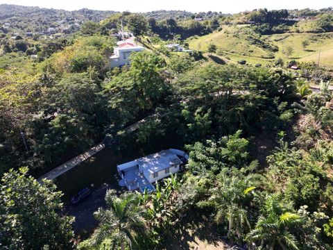 Carr 400 KM. 1.5 RINCON  00677