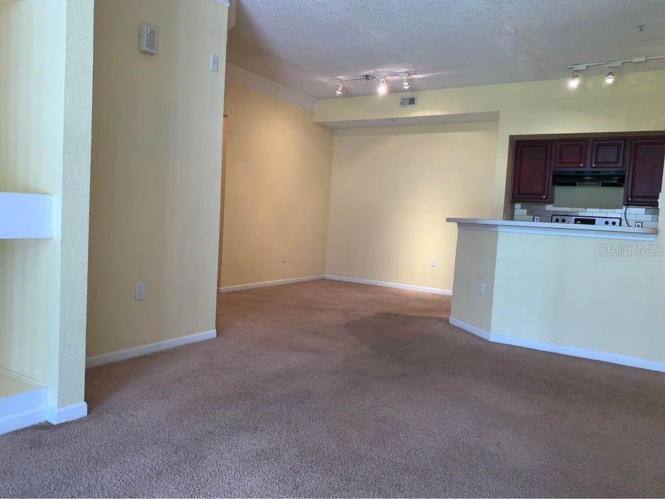 13102 MULBERRY PARK DRIVE 917
