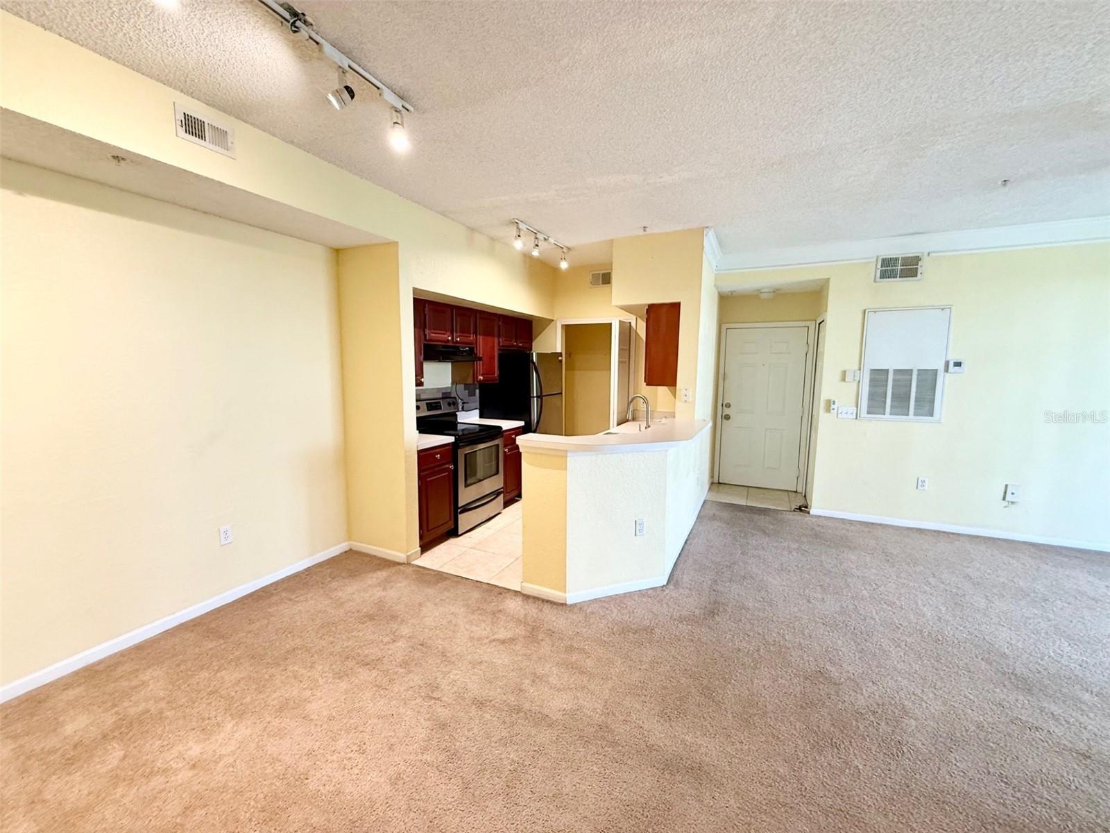 13102 MULBERRY PARK DRIVE 917