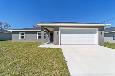 A home in BELLEVIEW