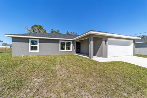 A home in BELLEVIEW