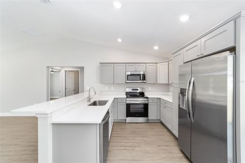 A home in BELLEVIEW