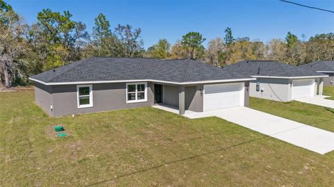 A home in BELLEVIEW
