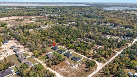 A home in BELLEVIEW