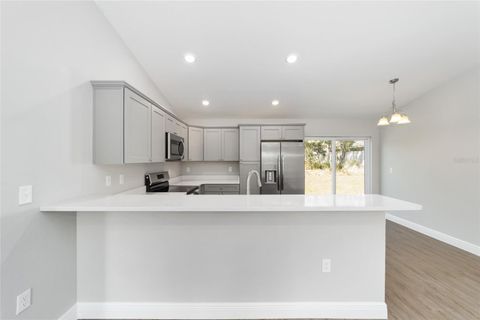 A home in BELLEVIEW