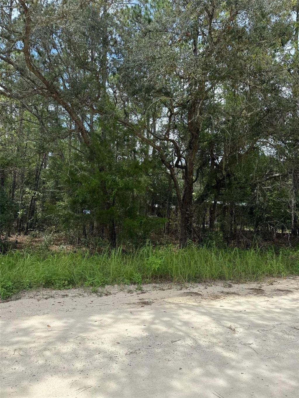 Photo of 4500 SW 175th Court, Dunnellon, FL 34432 (MLS # S5132226)
