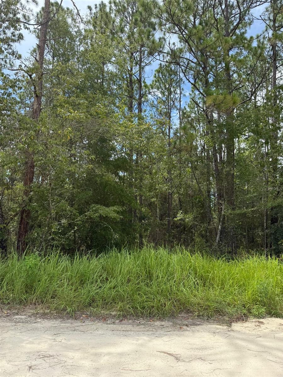 100% HIGH & DRY - Mobile, modular, and site built homes allowed. Property is 1.64 acres located on SW 175th CT Dunnellon, FL. Parcel ID# 1743-007-007. No assigned street number to this property. For directions use 4420 SW 175th Ct Dunnellon, FL, property for sale will be to the left when facing this building. Close by to lakes, rivers, state parks, and 19 miles to Ocala. (Actual street # has not been assigned by the county yet - located just south of #4420).