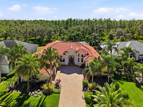 10526 CORY LAKE DRIVE TAMPA FL 33647