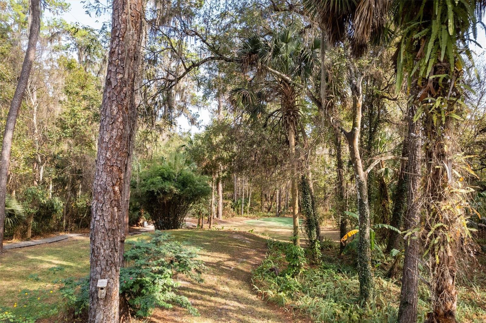 FIRST VIEW ACRES - Residential