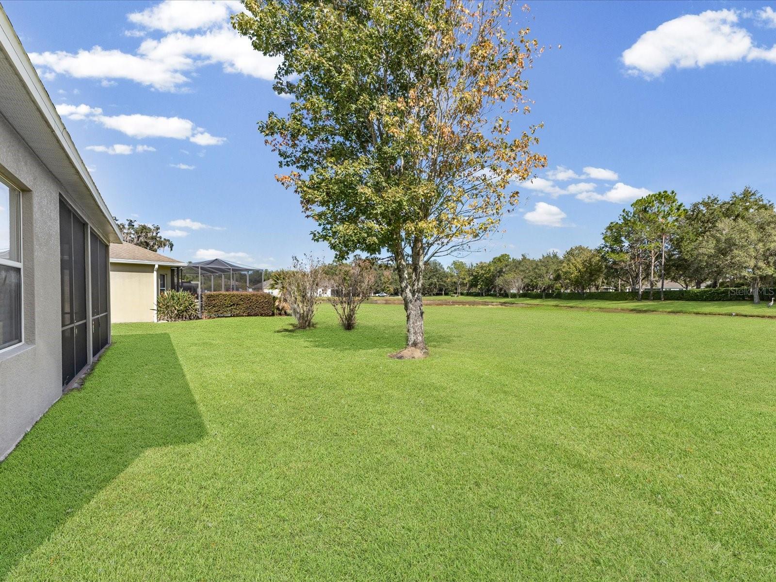 CASCADES AT S H PLANT PH 1 REP - Residential