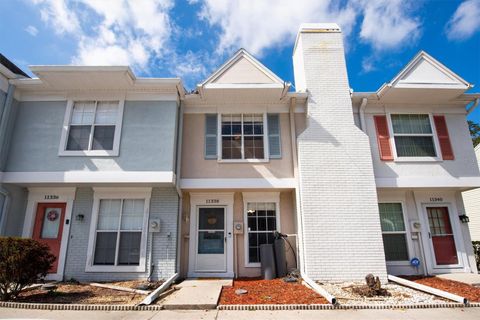 A home in TEMPLE TERRACE