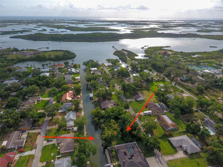 Build your Dream Home / Vacation Home on this deep water canal with direct access to Indian River, Blue Hole, & Mosquito Lagoon; famous for boating, fishing, shrimping, clams, crabs & oysters too!! Cruise the pristine Canaveral National Seashore/Intracoastal waterway & enjoy an ''Old World Florida'' with all its marine & wildlife, like manatees, dolphins & exotic shore birds just to name a few! Bring the family & friends on a short beautiful boat ride to JB's Fish Camp Seafood Restaurant w/full bar, indoor & outdoor seating, kayak rentals, paddle board rentals and more! Or maybe head out for some deep sea fishing! Location, location, location; unbeatable & extremely hard to come by! All information listed in the MLS is intended to be accurate but can not be guaranteed by Broker/Agent/MLS; Cleared: No ;Water: Available at Site