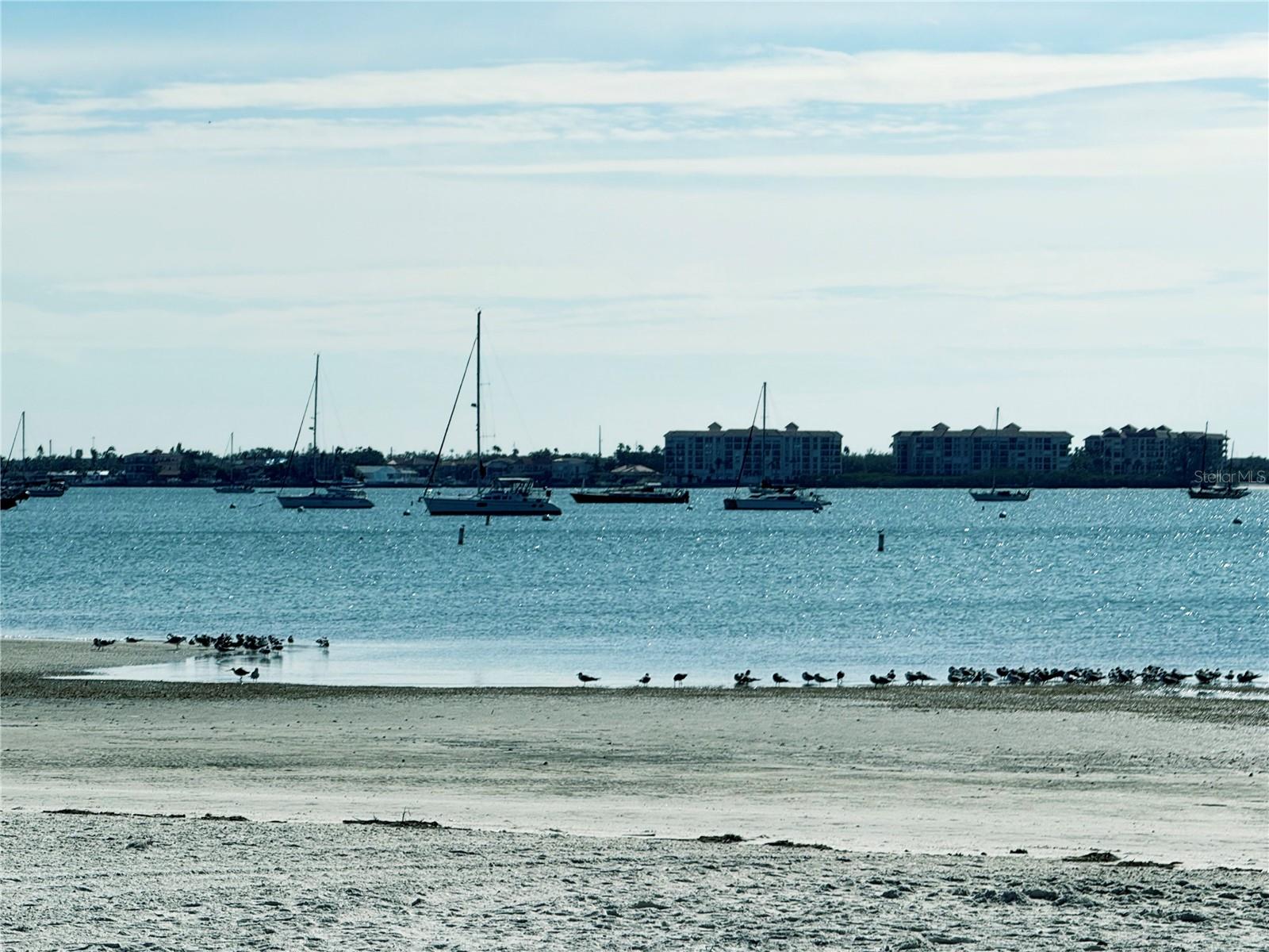 TOWN SHORES OF GULFPORT - Residential