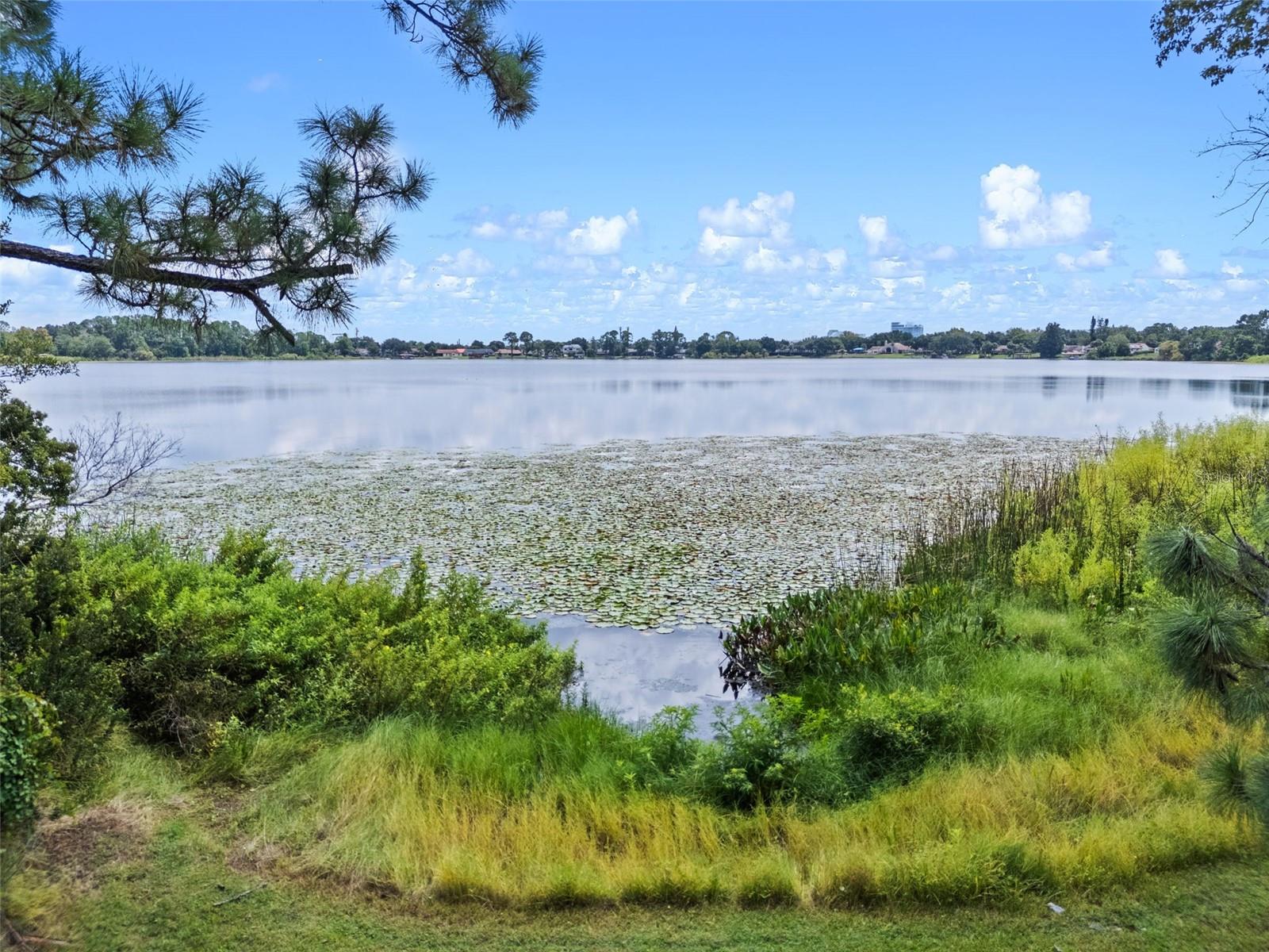 DR PHILLIPS WINDERWOOD - Residential