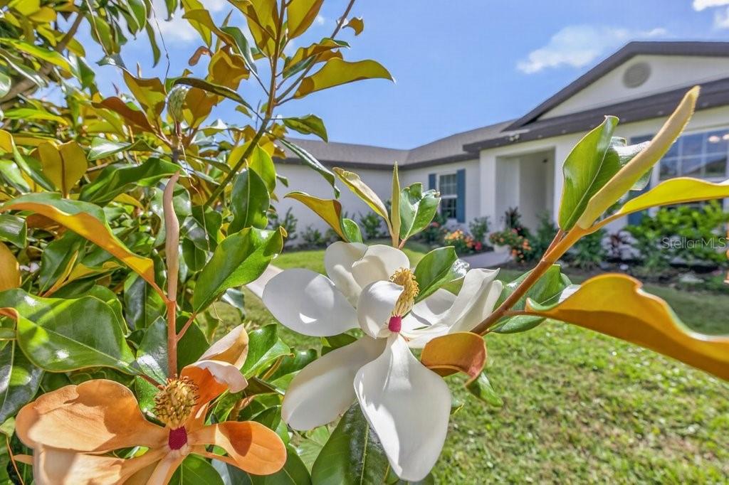 PALM COAST SEC 24 - Residential