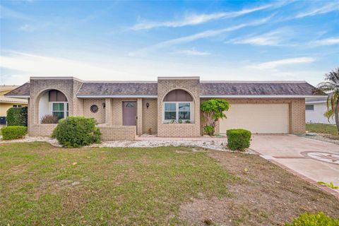 Photo of 1529 Allegheny Drive, Sun City Center, FL 33573 (MLS # A4685820)