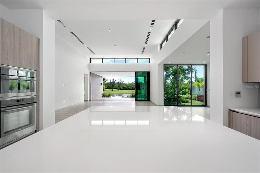 THE ISLES AT DORADO BEACH - Residential