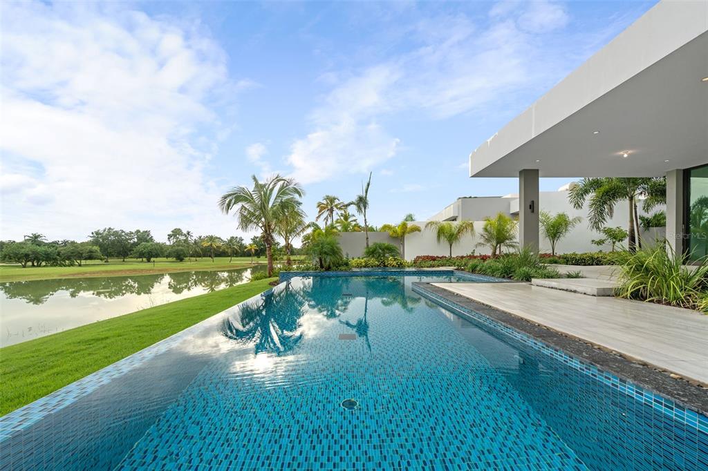 THE ISLES AT DORADO BEACH - Residential