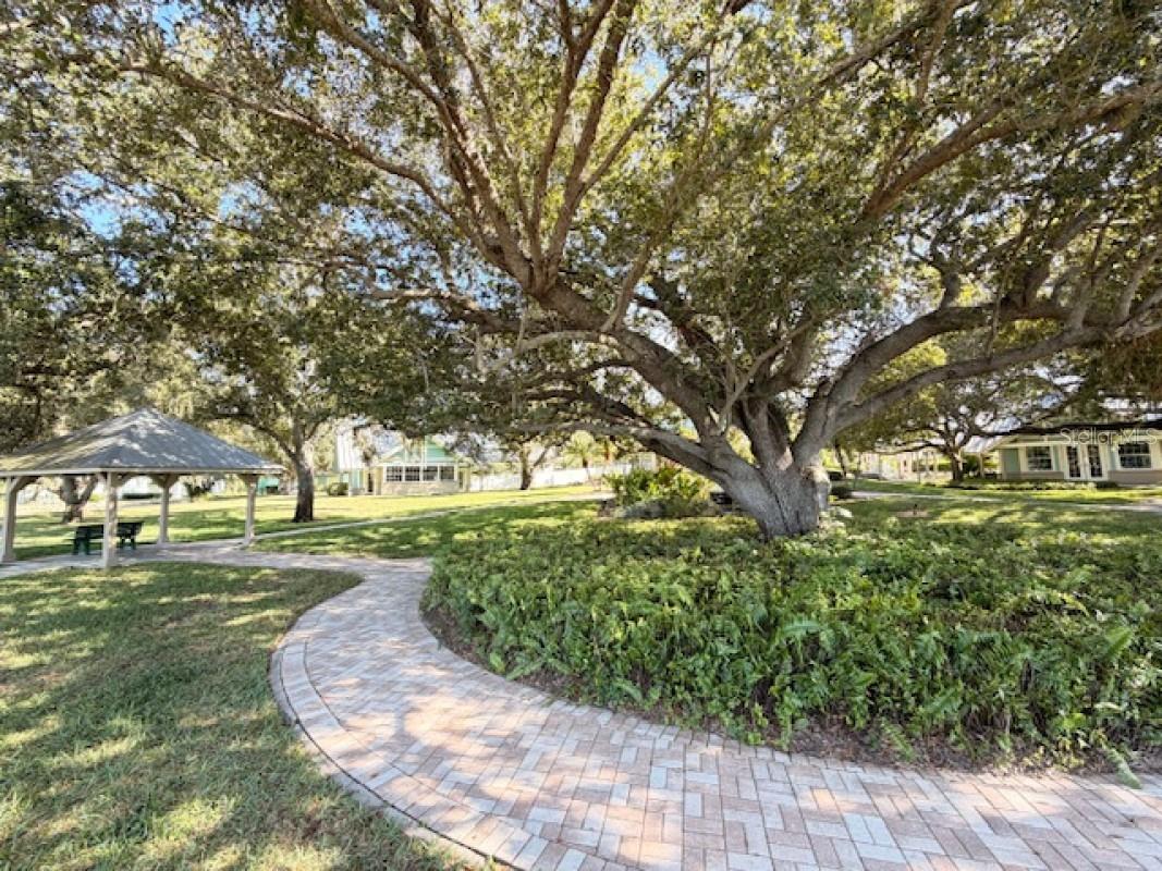 WATERS EDGE AT HERITAGE OAK PA - Residential