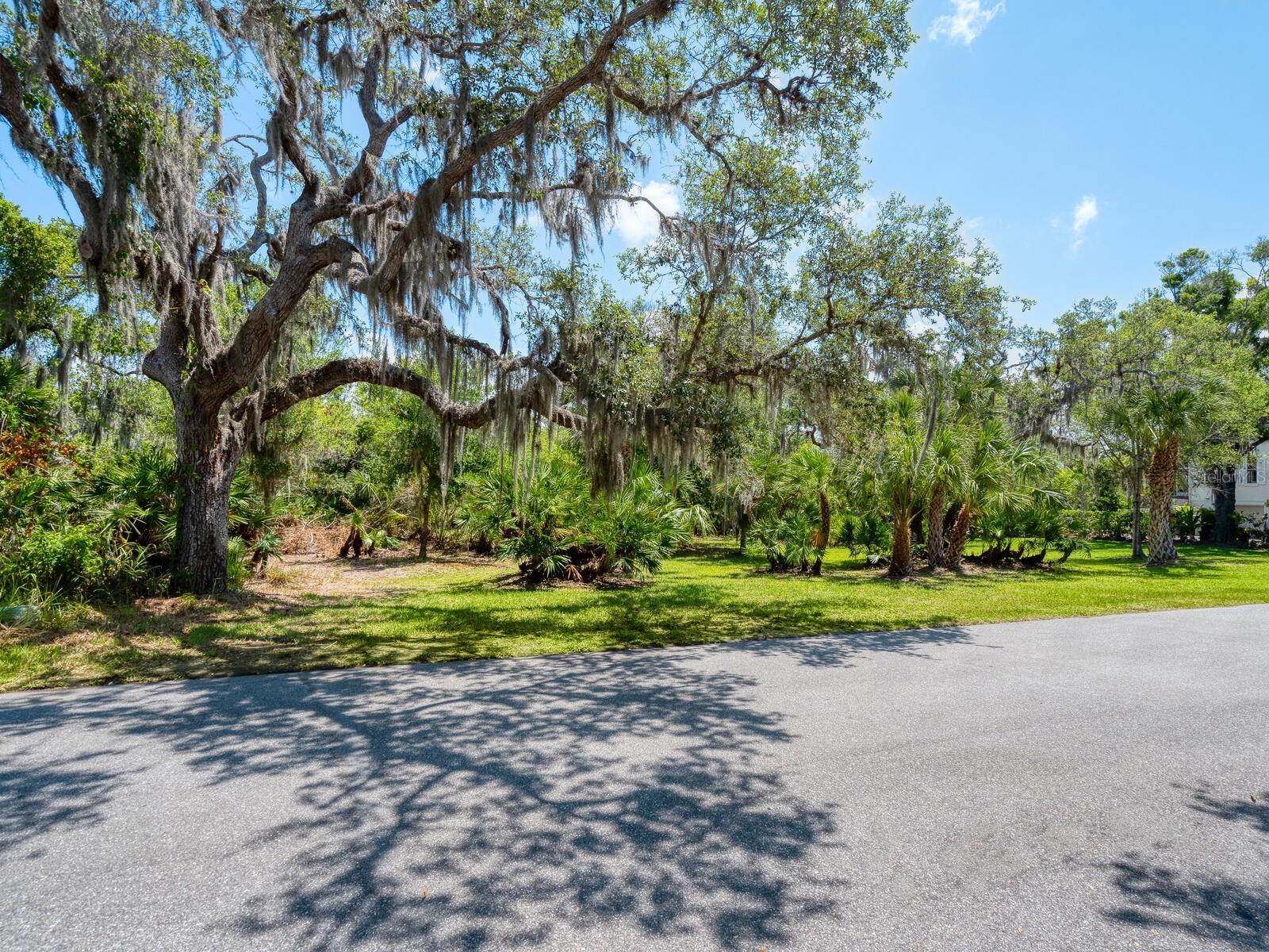 216 OSPREY POINT DRIVE