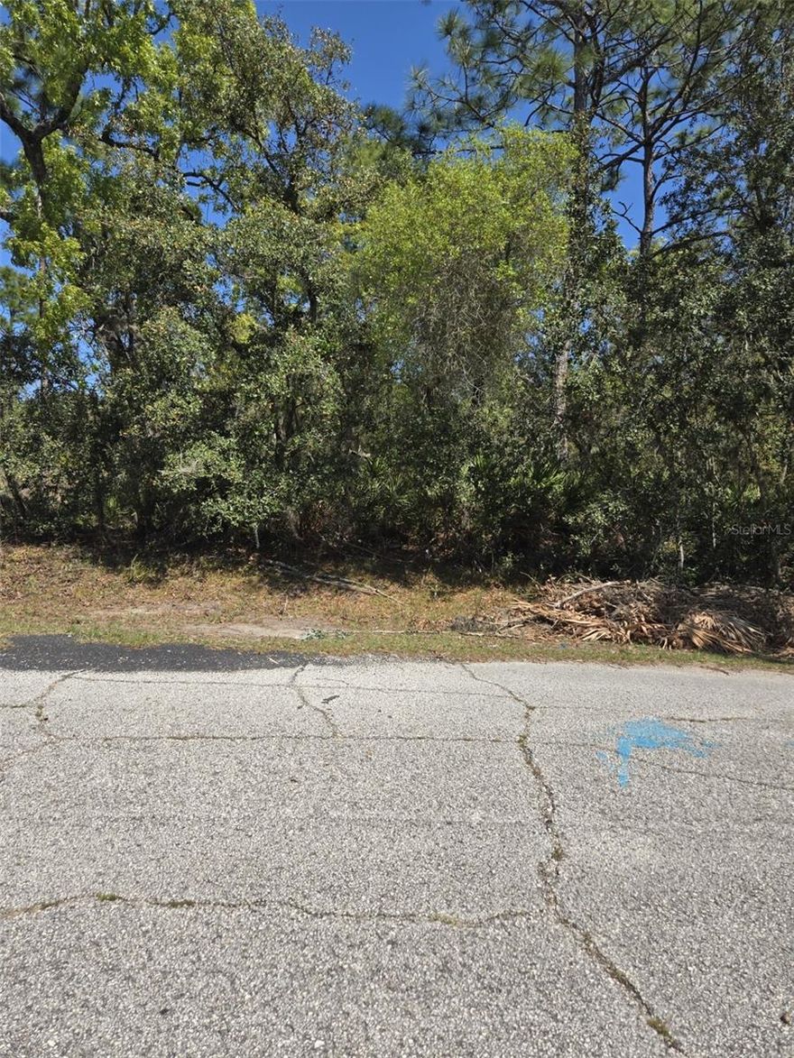 At .47 acres, this is the largest lot on Rainbow Court.  Located at the end of the loop, this area is under Poinciana Neighborhood 2 West Vlg 7.