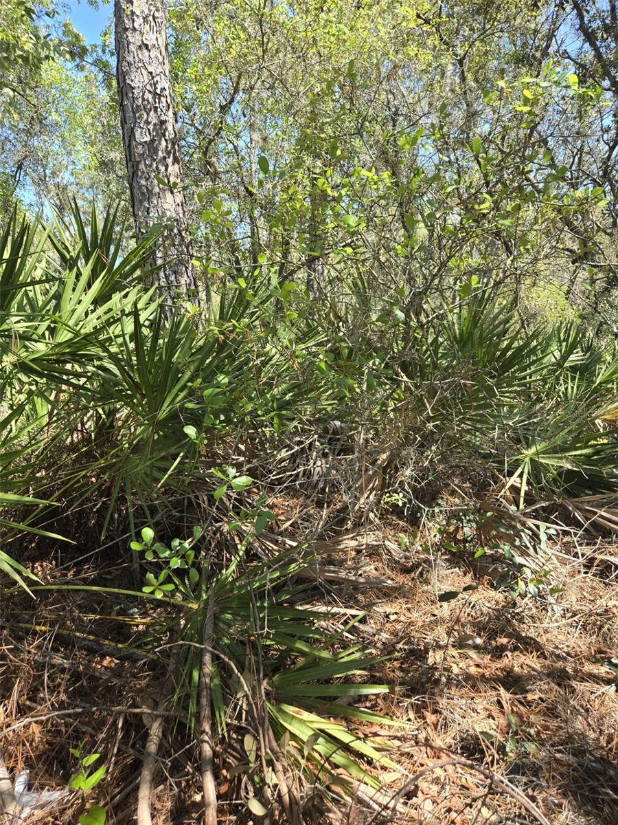 POINCIANA NBRHD 02 WEST VILLAGE 07 - Land