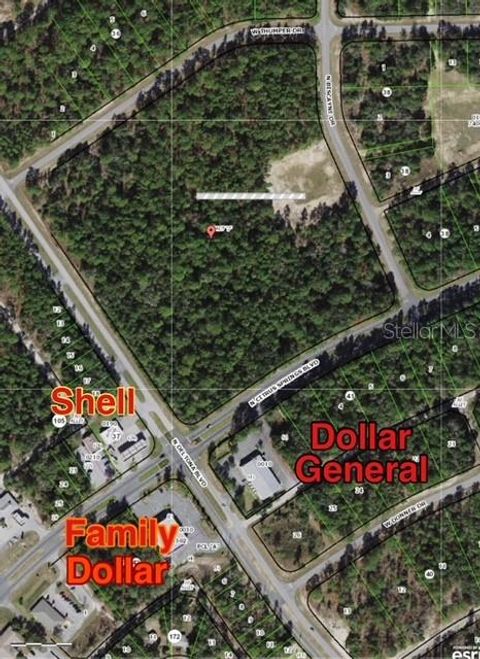 Tiny photo for 9719 N Deltona Boulevard, Citrus Springs, FL 34434 (MLS # U8189134)