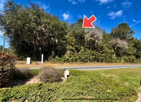 Tiny photo for 9719 N Deltona Boulevard, Citrus Springs, FL 34434 (MLS # U8189134)