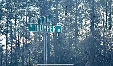 Tiny photo for 9719 N Deltona Boulevard, Citrus Springs, FL 34434 (MLS # U8189134)