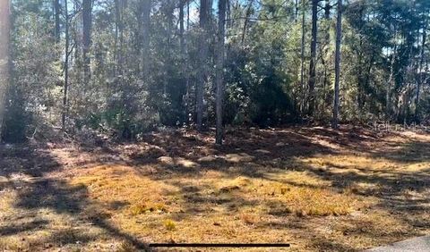 Tiny photo for 9719 N Deltona Boulevard, Citrus Springs, FL 34434 (MLS # U8189134)