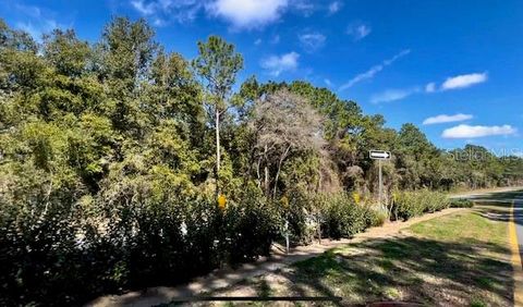 Tiny photo for 9719 N Deltona Boulevard, Citrus Springs, FL 34434 (MLS # U8189134)
