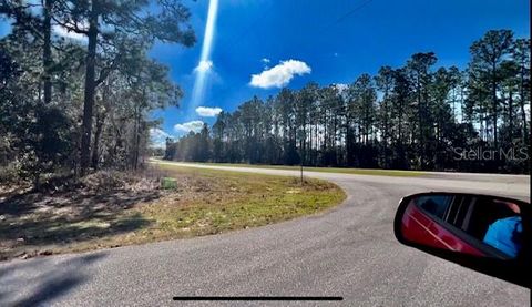 Tiny photo for 9719 N Deltona Boulevard, Citrus Springs, FL 34434 (MLS # U8189134)