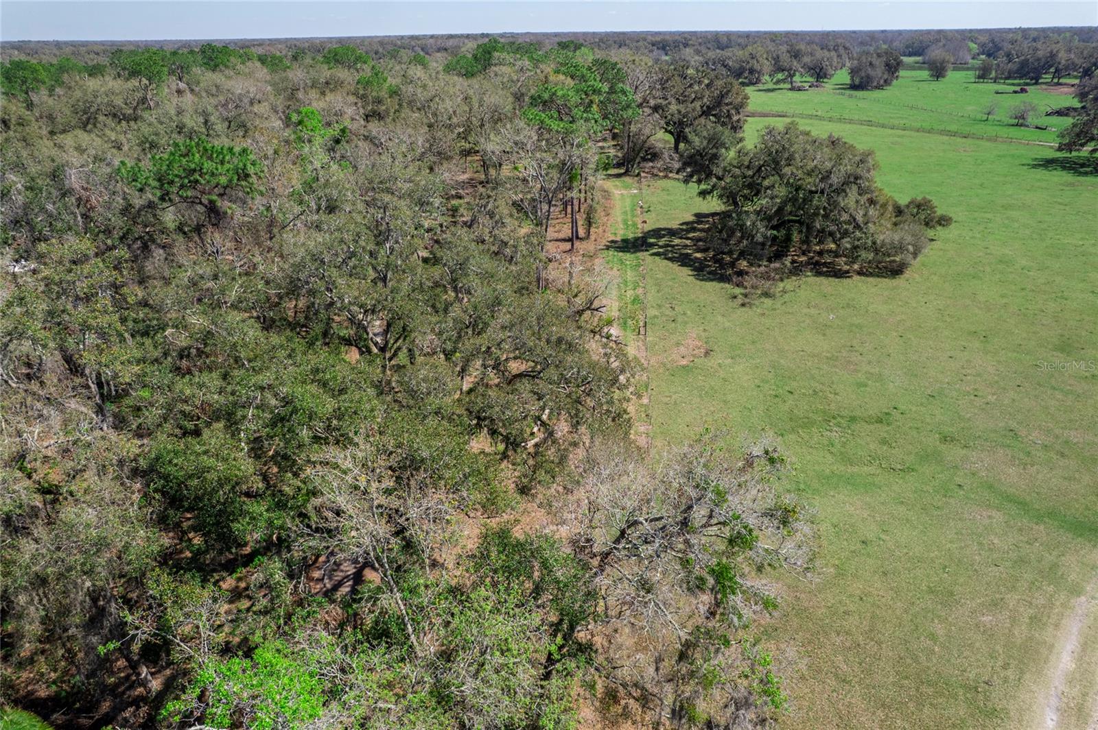Beautiful piece of natural Sumter County property lying south of Bushnell just off US Hwy 301. This site has a magnificent collection of Florida native landscape. Accessed by legal 12' easment over CSX railway. Clear to your liking a lovely spot for a home, use for recreation and/or split into (2) 10-acre parcels, the options are open to you. Small pond on property.